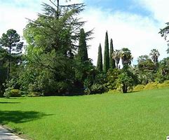 terrenos